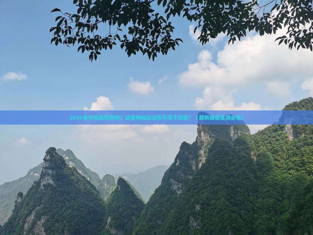春节去云南西双版纳哪里玩