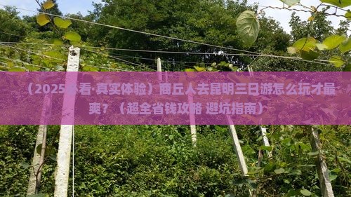 商丘去云南昆明三日游