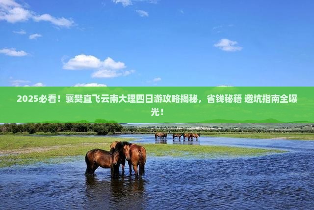 襄樊到云南大理四日游