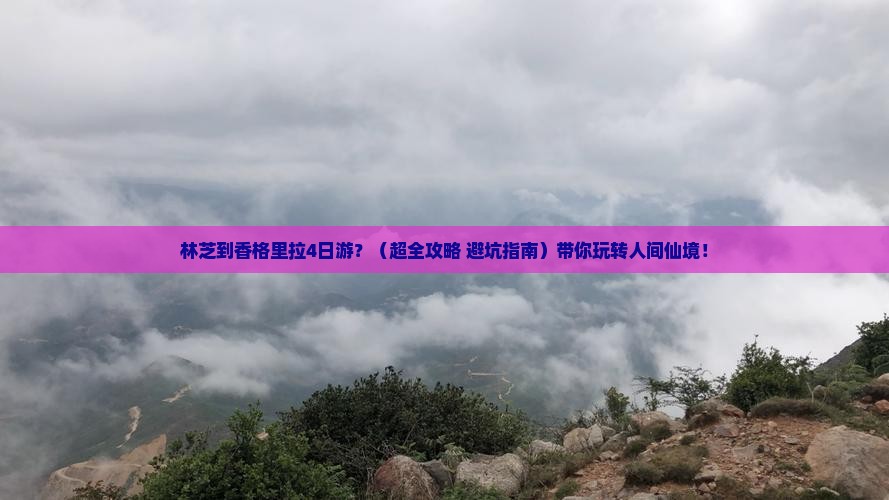 林芝去云南香格里拉四日游