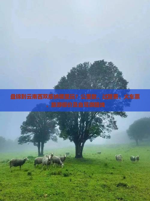 盘锦到云南西双版纳哪里玩
