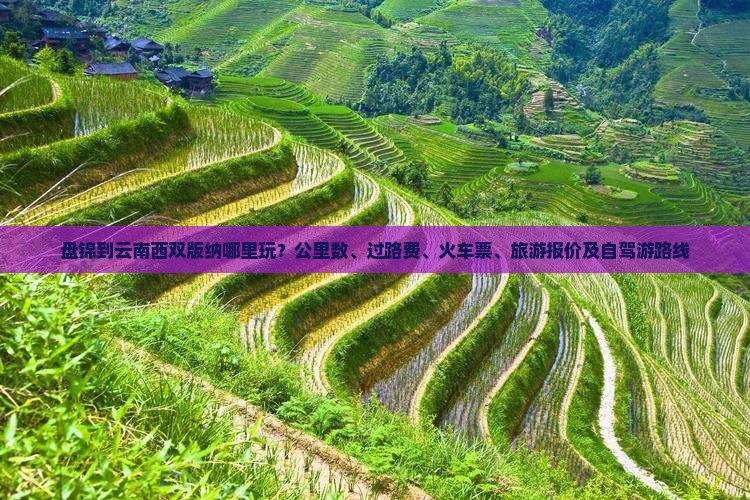 盘锦到云南西双版纳哪里玩