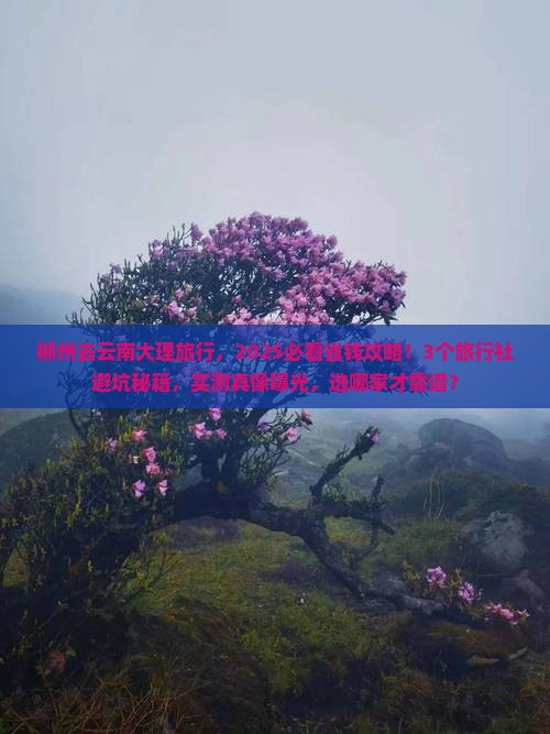 郴州到云南大理旅行社 郴州到云南大理旅行社