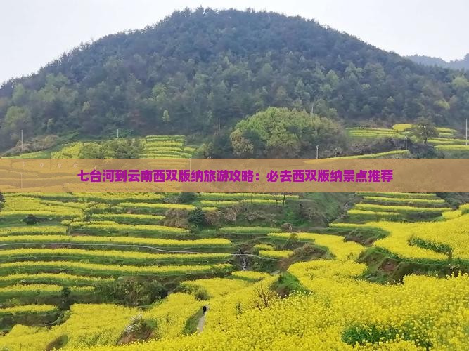 七台河到云南西双版纳哪里玩