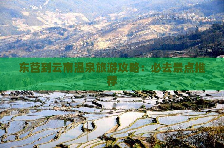 东营去云南温泉个人游