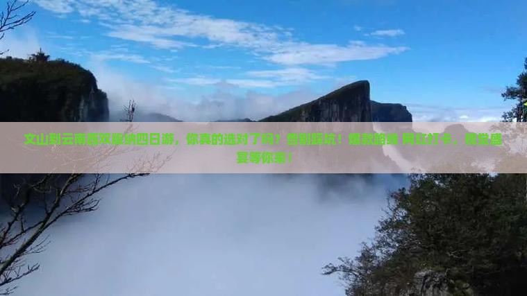 文山到云南西双版纳四日游