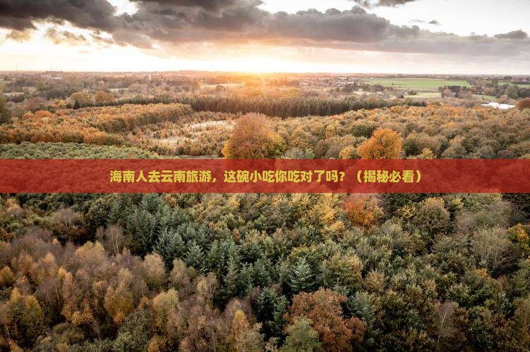海南去云南旅游小吃