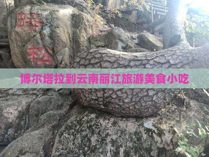 博尔塔拉到云南丽江旅游小吃