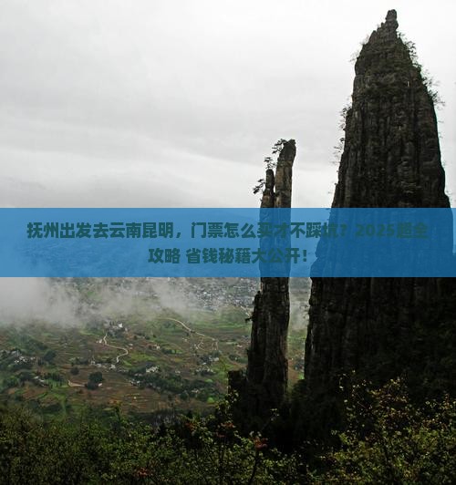 抚州去云南昆明门票