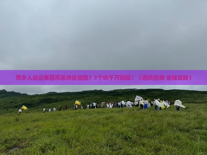 萍乡去云南西双版纳自由团