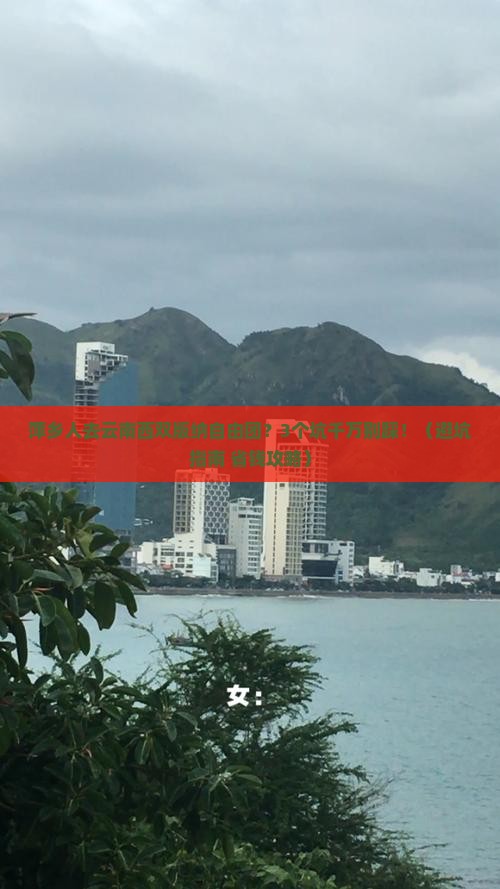 萍乡去云南西双版纳自由团
