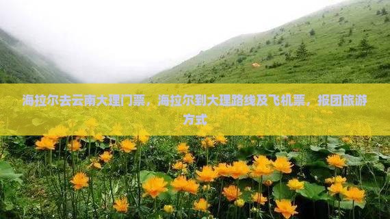 海拉尔去云南大理门票