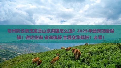 亳州到云南玉龙雪山大型旅游团
