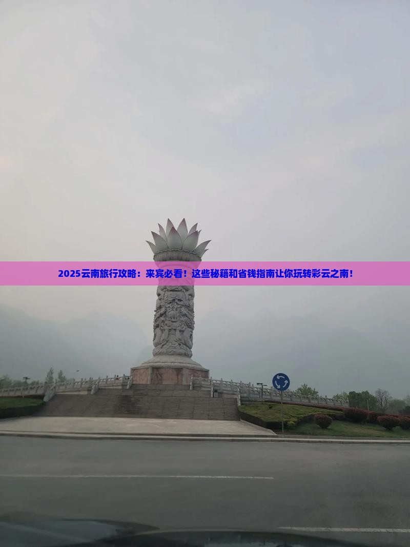 来宾到云南哪里玩