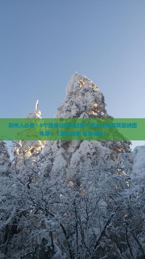 荆州去云南西双版纳团体旅游