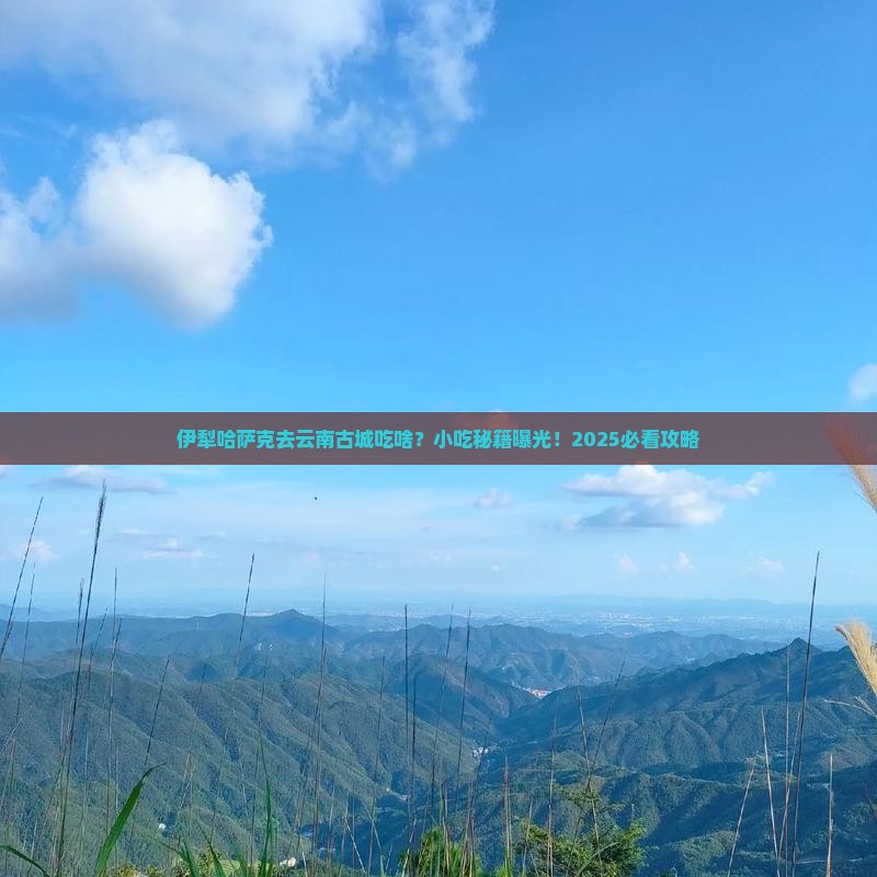 伊犁哈萨克去云南古城旅游小吃
