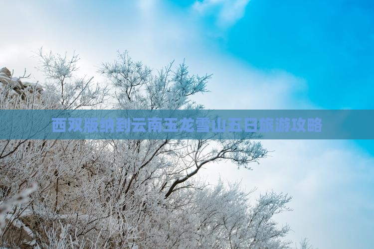 西双版纳到云南玉龙雪山五日游