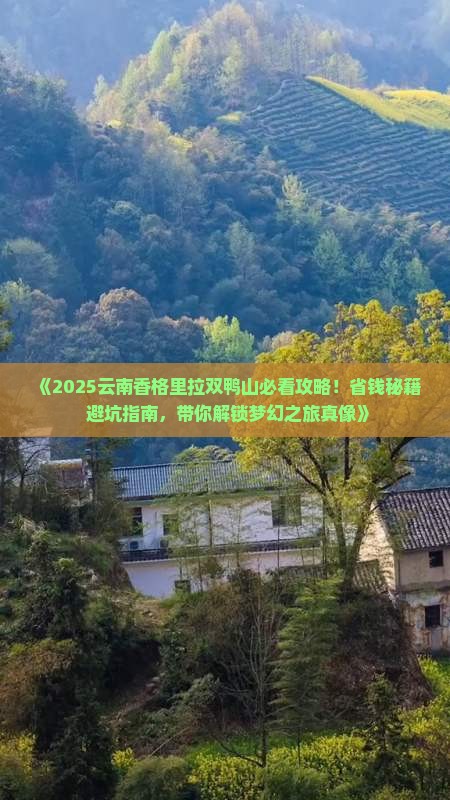 双鸭山去云南香格里拉旅游