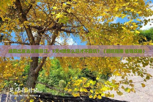 咸阳到云南丽江自由团