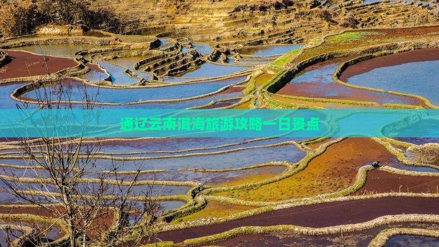 通辽市去云南洱海一日