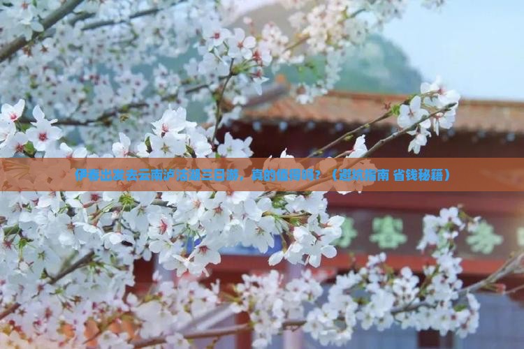 伊春去云南泸沽湖三日游