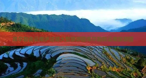 库尔勒去云南泸沽湖大型旅游团