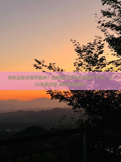 海东到云南西双版纳旅行社
