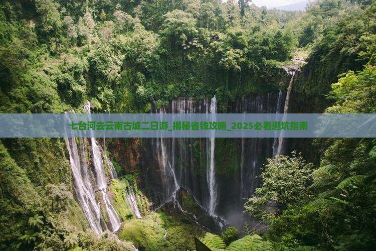 七台河去云南古城二日游