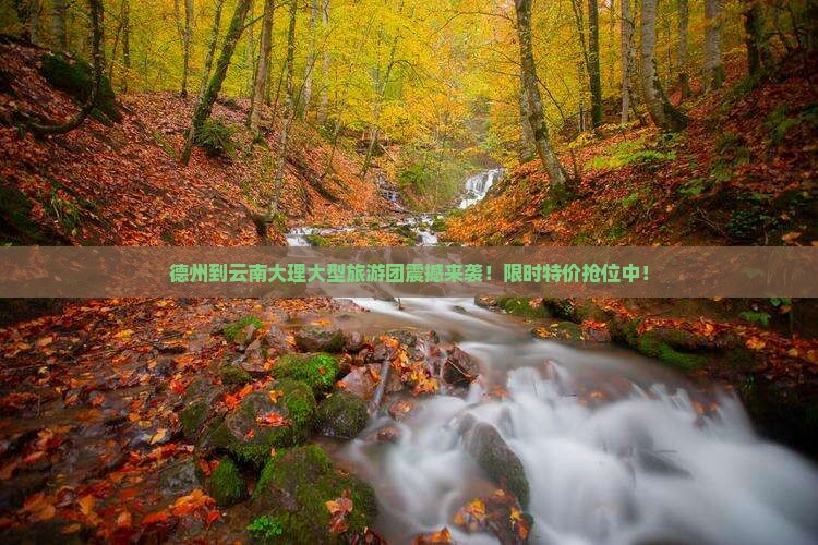 德州到云南大理大型旅游团