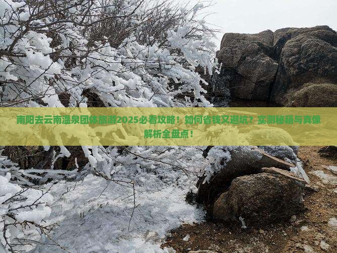 南阳去云南温泉团体旅游