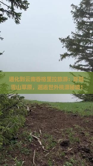 通化到云南香格里拉旅游