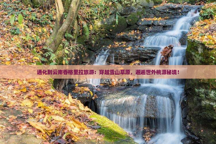 通化到云南香格里拉旅游