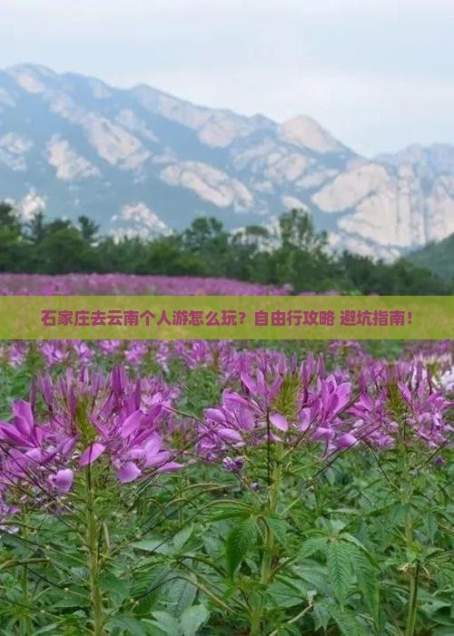 石家庄去云南个人游