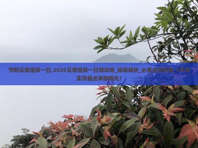 国庆节到云南温泉一日