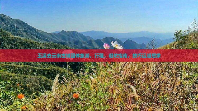 玉溪去云南古城团体旅游
