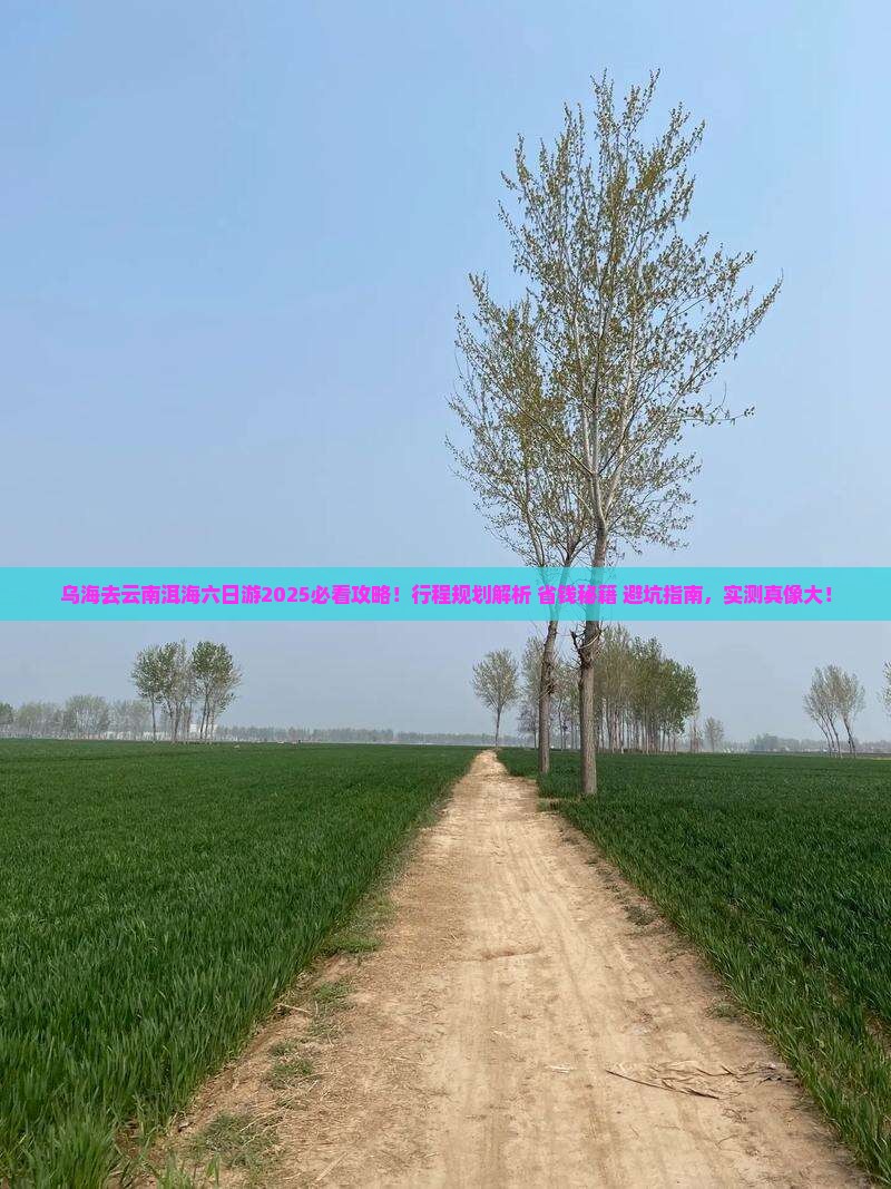 乌海去云南洱海六日游