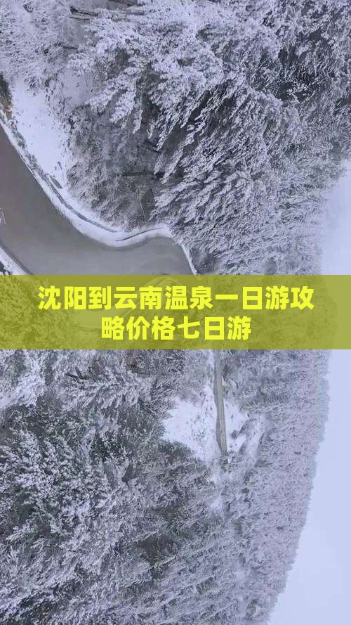 沈阳到云南温泉一日