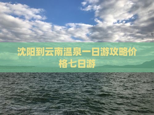 沈阳到云南温泉一日