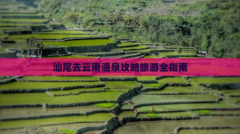 汕尾去云南温泉自由团
