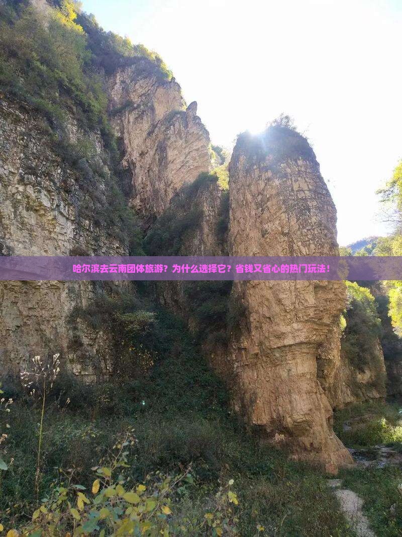 哈尔滨去云南团体旅游