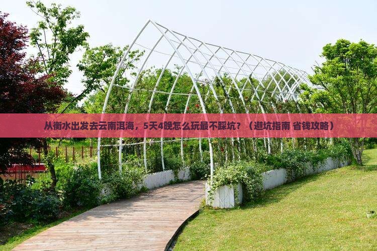 衡水去云南洱海旅行社