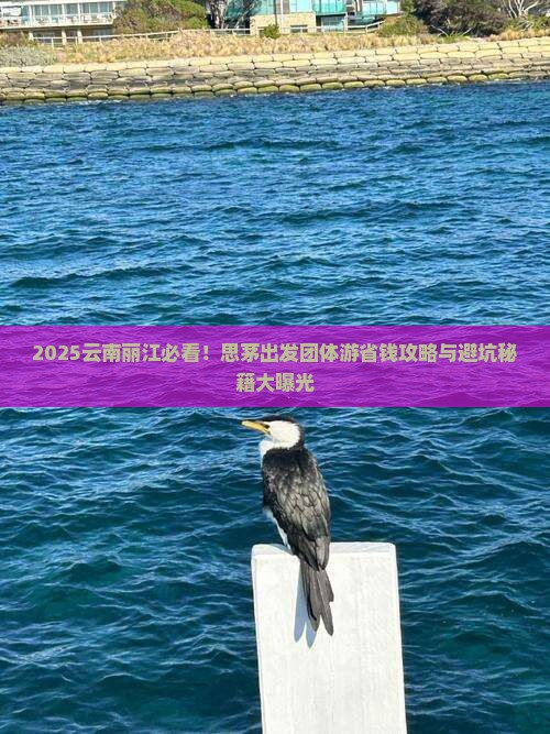 思茅去云南丽江团体旅游