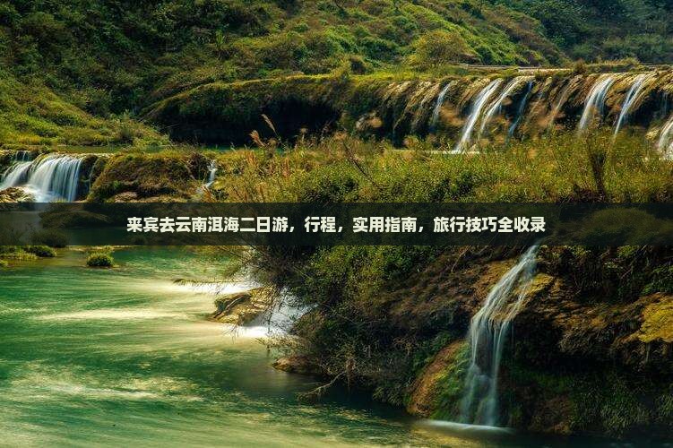 来宾去云南洱海二日游