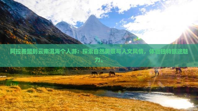 阿拉善盟到云南洱海个人游