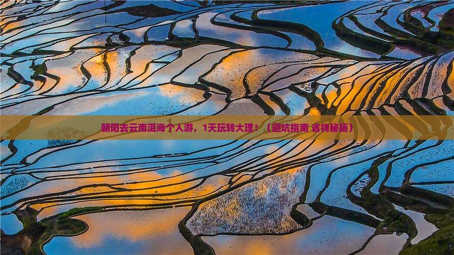 朝阳去云南洱海个人游