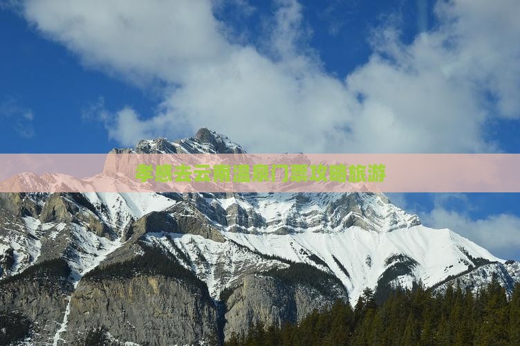 孝感去云南温泉门票