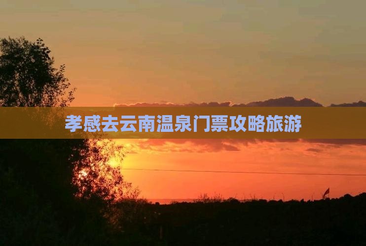 孝感去云南温泉门票