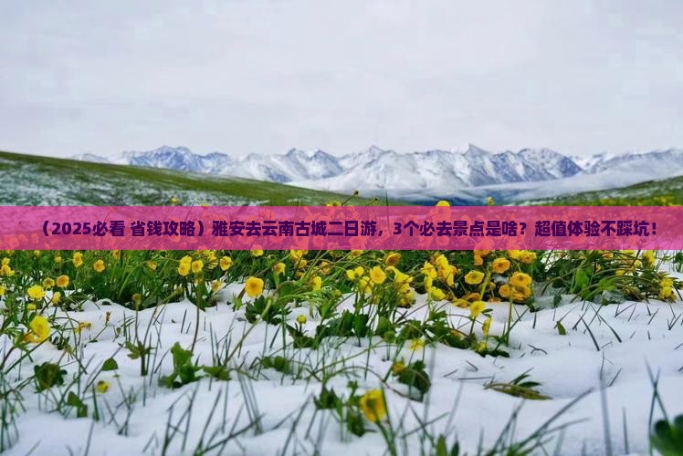 雅安去云南古城二日游