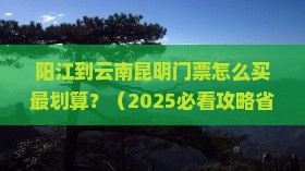 阳江到云南昆明门票