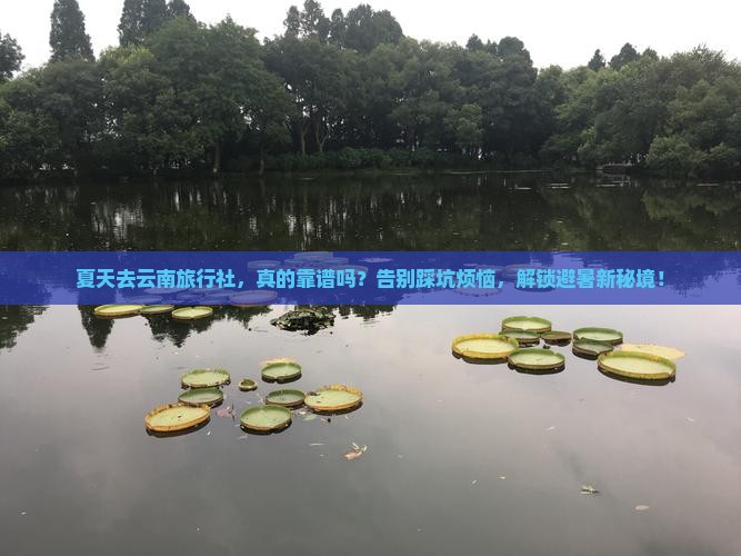 夏天去云南旅行社